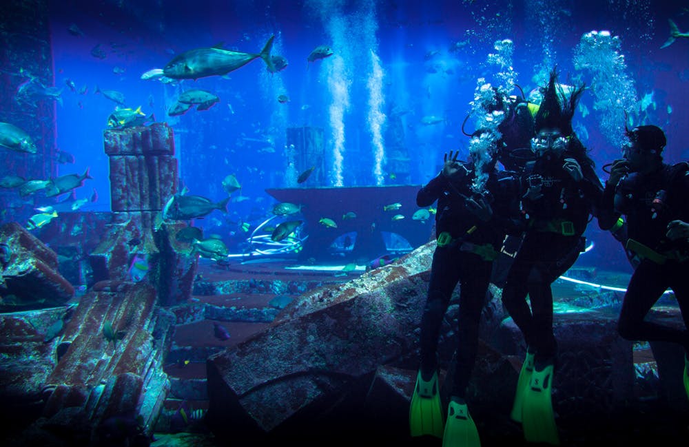 Ambassador Lagoon at Atlantis, The Palm